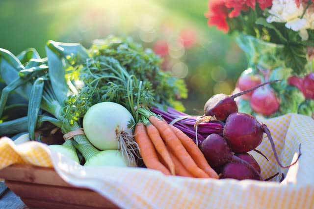 a basket of fruits and vegetables for a healthy brain