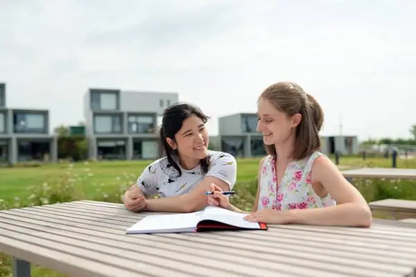 a student tutoring her classmate